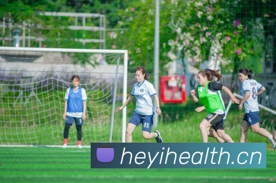 App Interface Preview